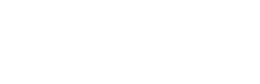 EVLV